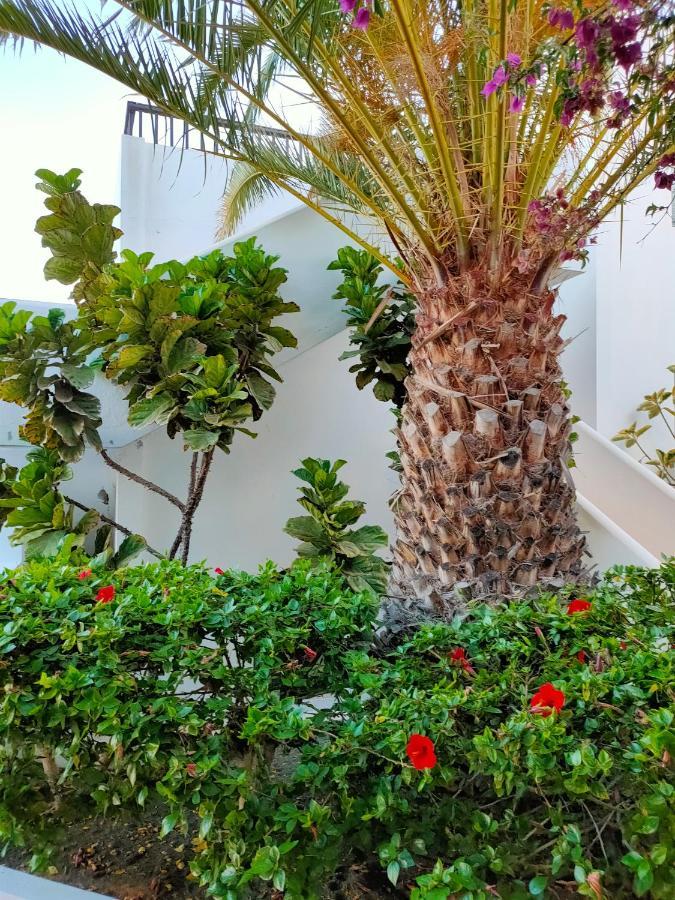 Apartmán Flor De Cactus Costa Teguise Exteriér fotografie