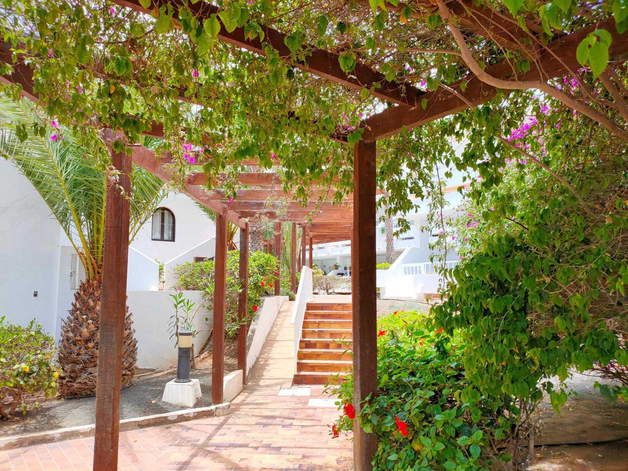 Apartmán Flor De Cactus Costa Teguise Pokoj fotografie
