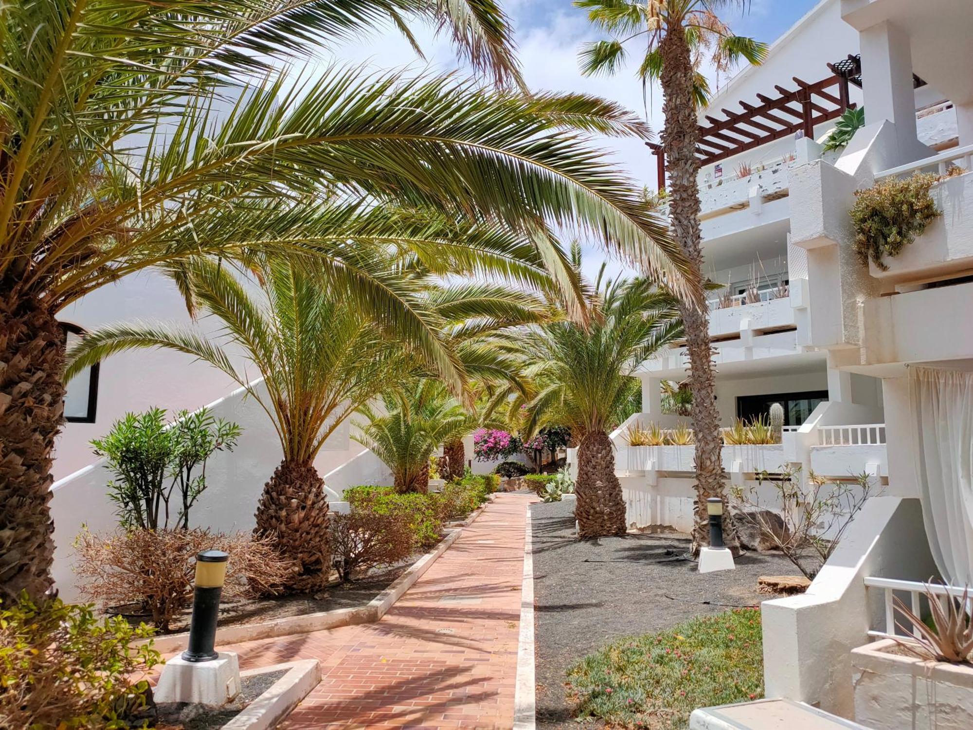 Apartmán Flor De Cactus Costa Teguise Pokoj fotografie